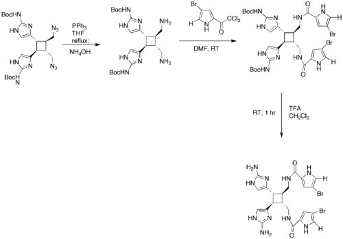 Total synthesis of Sceptrin‎‎, part 2