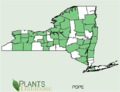 NYS map podophyllotoxin naturally occurs.png