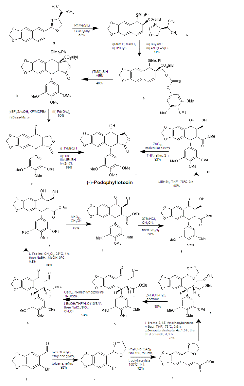 Podophyllotoxin Syntheses