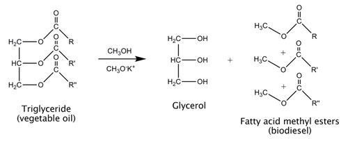 Reaction scheme for synthesis of biodiesel