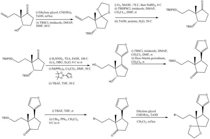 Digitoxigeninsynthesisparta.png