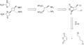Synthesis of Sceptrin IV.png