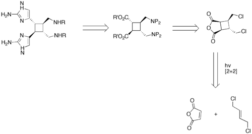 Retrosynthetic analysis of Sceptrin‎